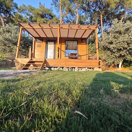 Hotel Tiny Mini House Dalaman Zewnętrze zdjęcie