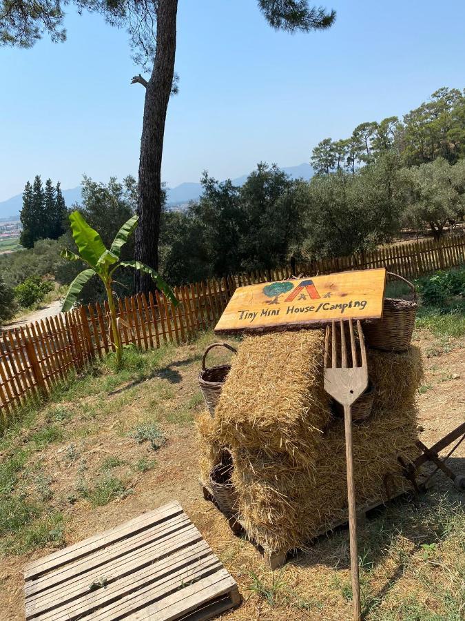 Hotel Tiny Mini House Dalaman Zewnętrze zdjęcie