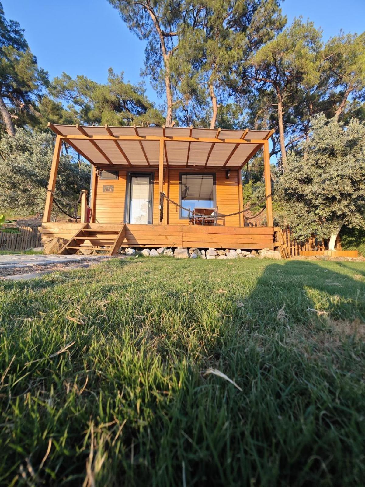 Hotel Tiny Mini House Dalaman Zewnętrze zdjęcie