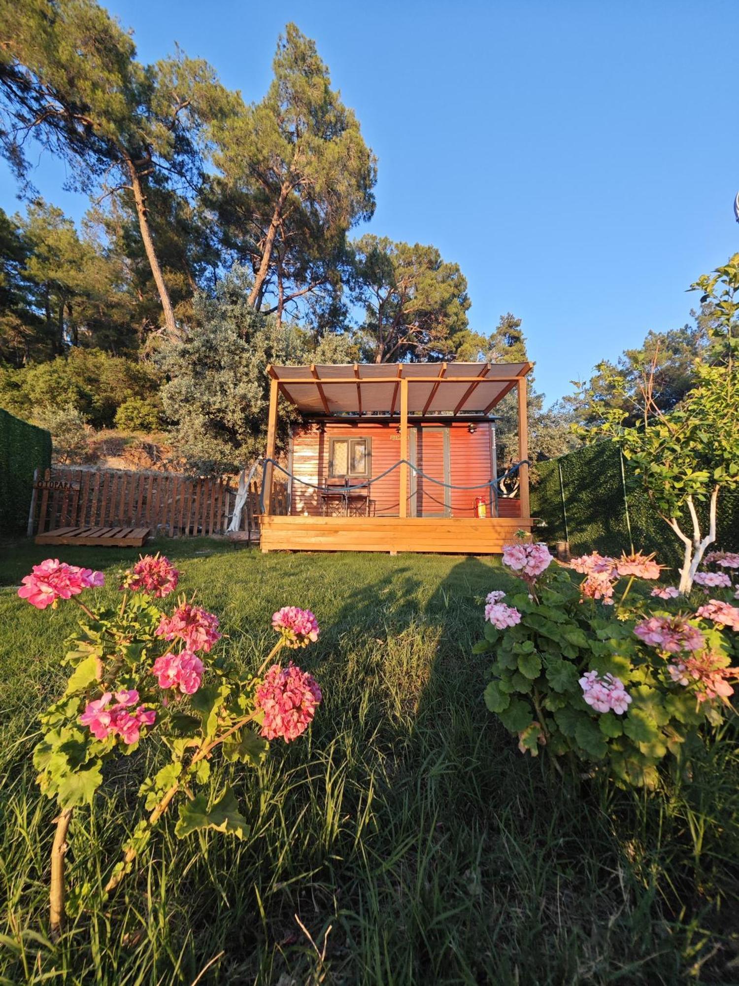 Hotel Tiny Mini House Dalaman Zewnętrze zdjęcie